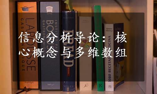 信息分析导论：核心概念与多维数组