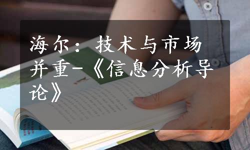 海尔：技术与市场并重-《信息分析导论》