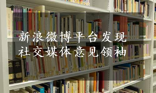 新浪微博平台发现社交媒体意见领袖