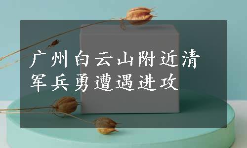 广州白云山附近清军兵勇遭遇进攻