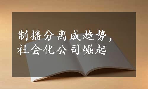 制播分离成趋势，社会化公司崛起