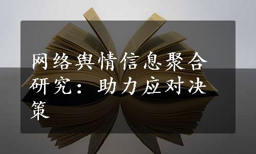 网络舆情信息聚合研究：助力应对决策