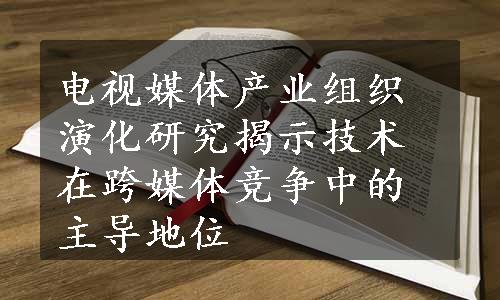 电视媒体产业组织演化研究揭示技术在跨媒体竞争中的主导地位