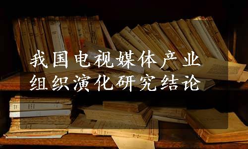 我国电视媒体产业组织演化研究结论