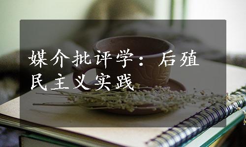 媒介批评学：后殖民主义实践