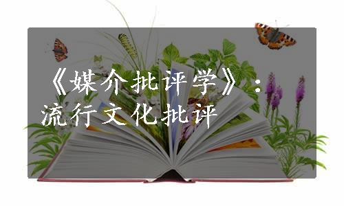 《媒介批评学》：流行文化批评