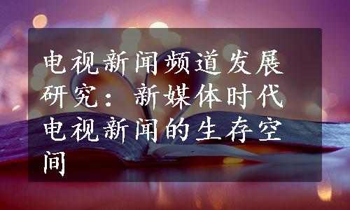 电视新闻频道发展研究：新媒体时代电视新闻的生存空间