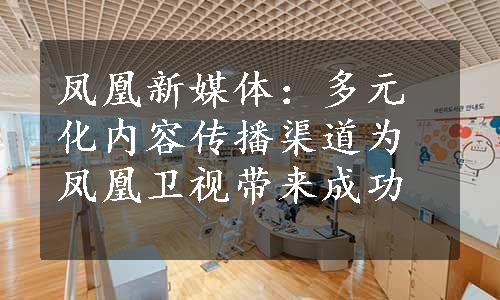 凤凰新媒体：多元化内容传播渠道为凤凰卫视带来成功