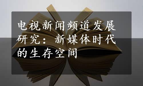 电视新闻频道发展研究：新媒体时代的生存空间