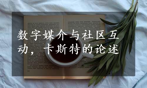 数字媒介与社区互动，卡斯特的论述