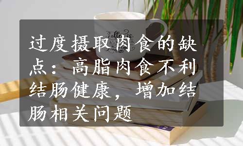 过度摄取肉食的缺点：高脂肉食不利结肠健康，增加结肠相关问题