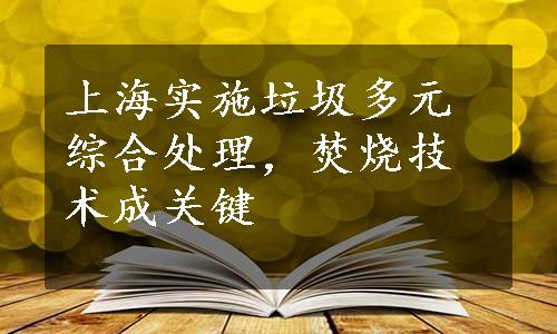 上海实施垃圾多元综合处理，焚烧技术成关键