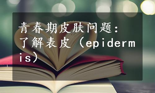 青春期皮肤问题：了解表皮（epidermis）