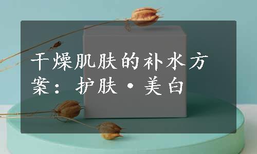 干燥肌肤的补水方案：护肤·美白