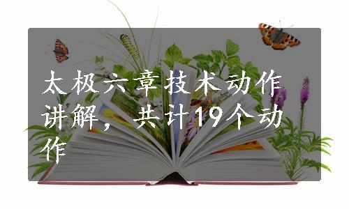 太极六章技术动作讲解，共计19个动作