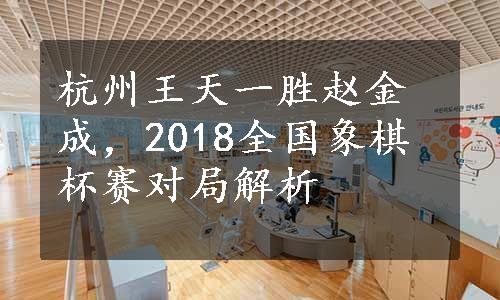 杭州王天一胜赵金成，2018全国象棋杯赛对局解析