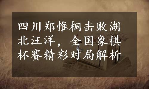 四川郑惟桐击败湖北汪洋，全国象棋杯赛精彩对局解析