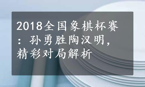 2018全国象棋杯赛：孙勇胜陶汉明，精彩对局解析