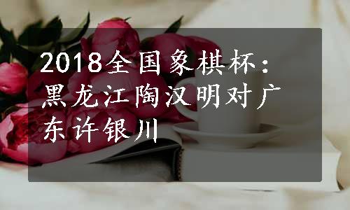 2018全国象棋杯：黑龙江陶汉明对广东许银川