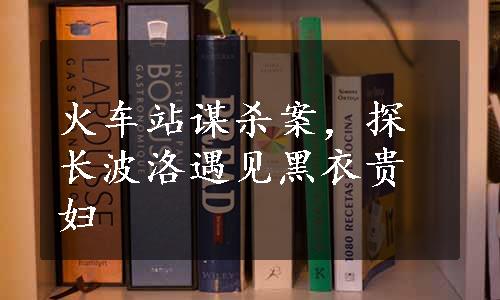 火车站谋杀案，探长波洛遇见黑衣贵妇