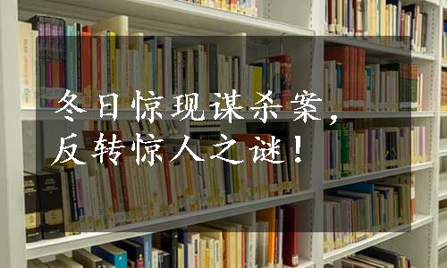 冬日惊现谋杀案，反转惊人之谜！