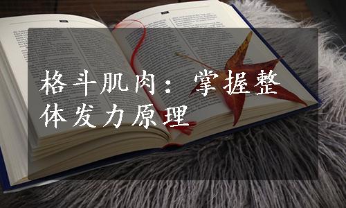 格斗肌肉：掌握整体发力原理