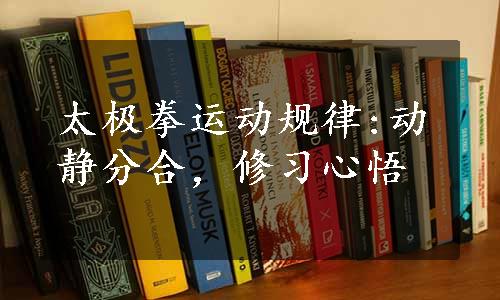 太极拳运动规律:动静分合，修习心悟