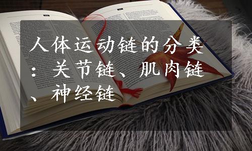 人体运动链的分类：关节链、肌肉链、神经链