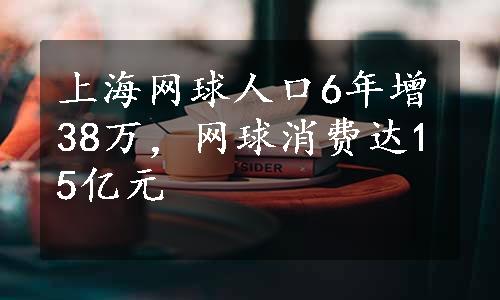 上海网球人口6年增38万，网球消费达15亿元