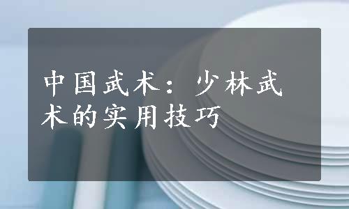 中国武术：少林武术的实用技巧