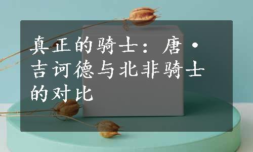 真正的骑士：唐·吉诃德与北非骑士的对比