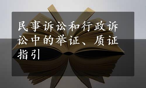 民事诉讼和行政诉讼中的举证、质证指引