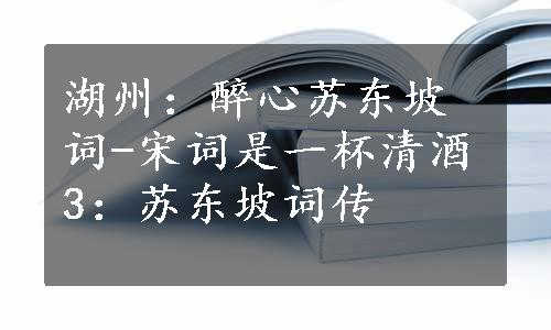 湖州：醉心苏东坡词-宋词是一杯清酒3：苏东坡词传