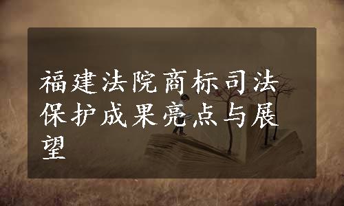 福建法院商标司法保护成果亮点与展望