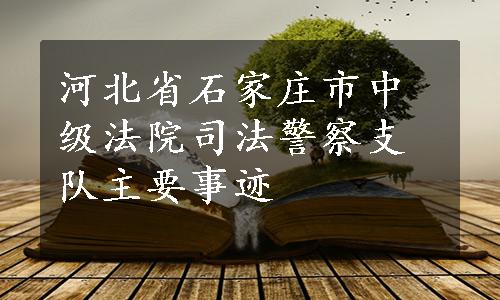 河北省石家庄市中级法院司法警察支队主要事迹