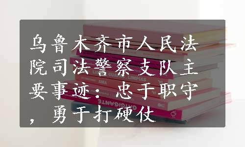 乌鲁木齐市人民法院司法警察支队主要事迹：忠于职守，勇于打硬仗