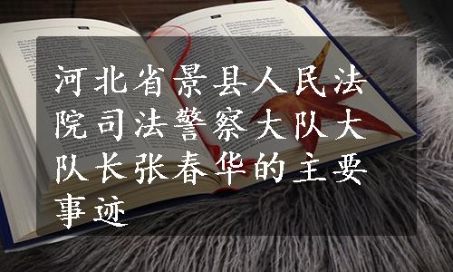 河北省景县人民法院司法警察大队大队长张春华的主要事迹