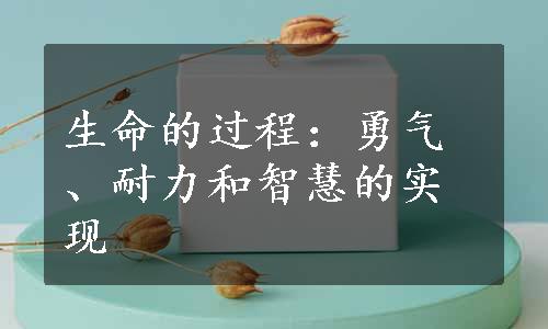 生命的过程：勇气、耐力和智慧的实现