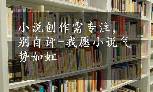 小说创作需专注，别自评-我愿小说气势如虹