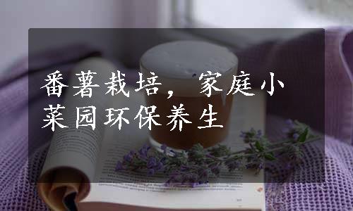 番薯栽培，家庭小菜园环保养生