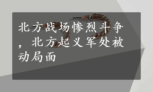 北方战场惨烈斗争，北方起义军处被动局面