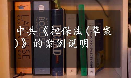 中共《担保法(草案)》的案例说明