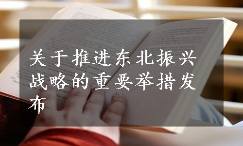 关于推进东北振兴战略的重要举措发布