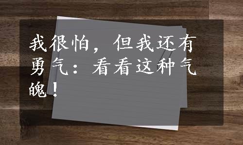 我很怕，但我还有勇气：看看这种气魄！