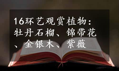 16环艺观赏植物：牡丹石榴、锦带花、金银木、紫薇