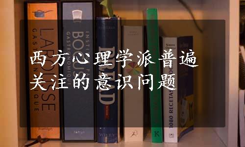 西方心理学派普遍关注的意识问题