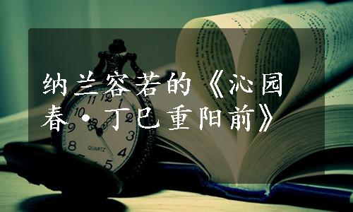 纳兰容若的《沁园春·丁巳重阳前》