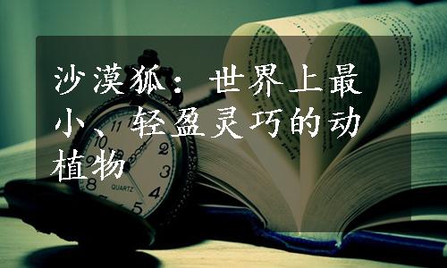 沙漠狐：世界上最小、轻盈灵巧的动植物