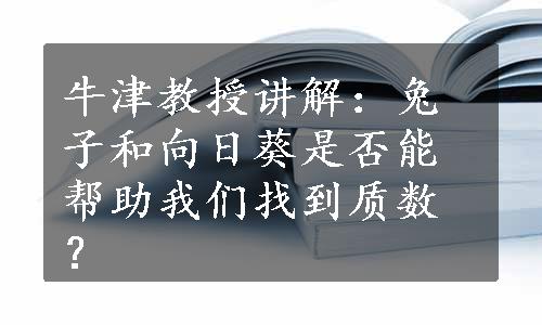 牛津教授讲解：兔子和向日葵是否能帮助我们找到质数？