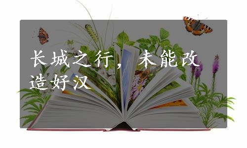 长城之行，未能改造好汉